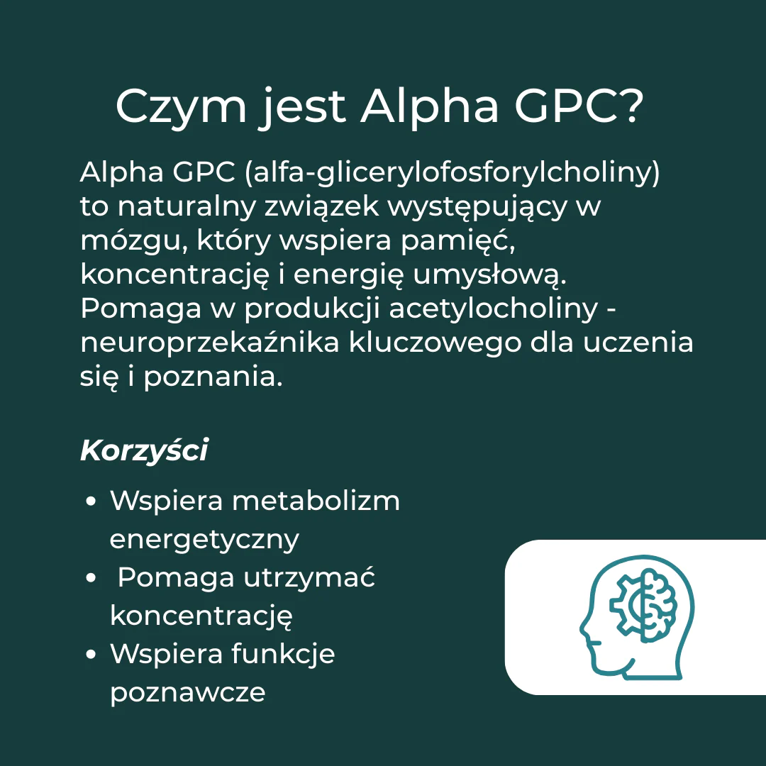 Alpha GPC - Image 3