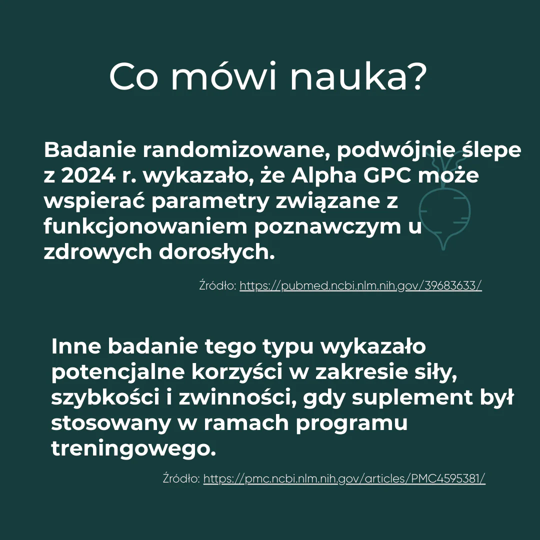 Alpha GPC - Image 4