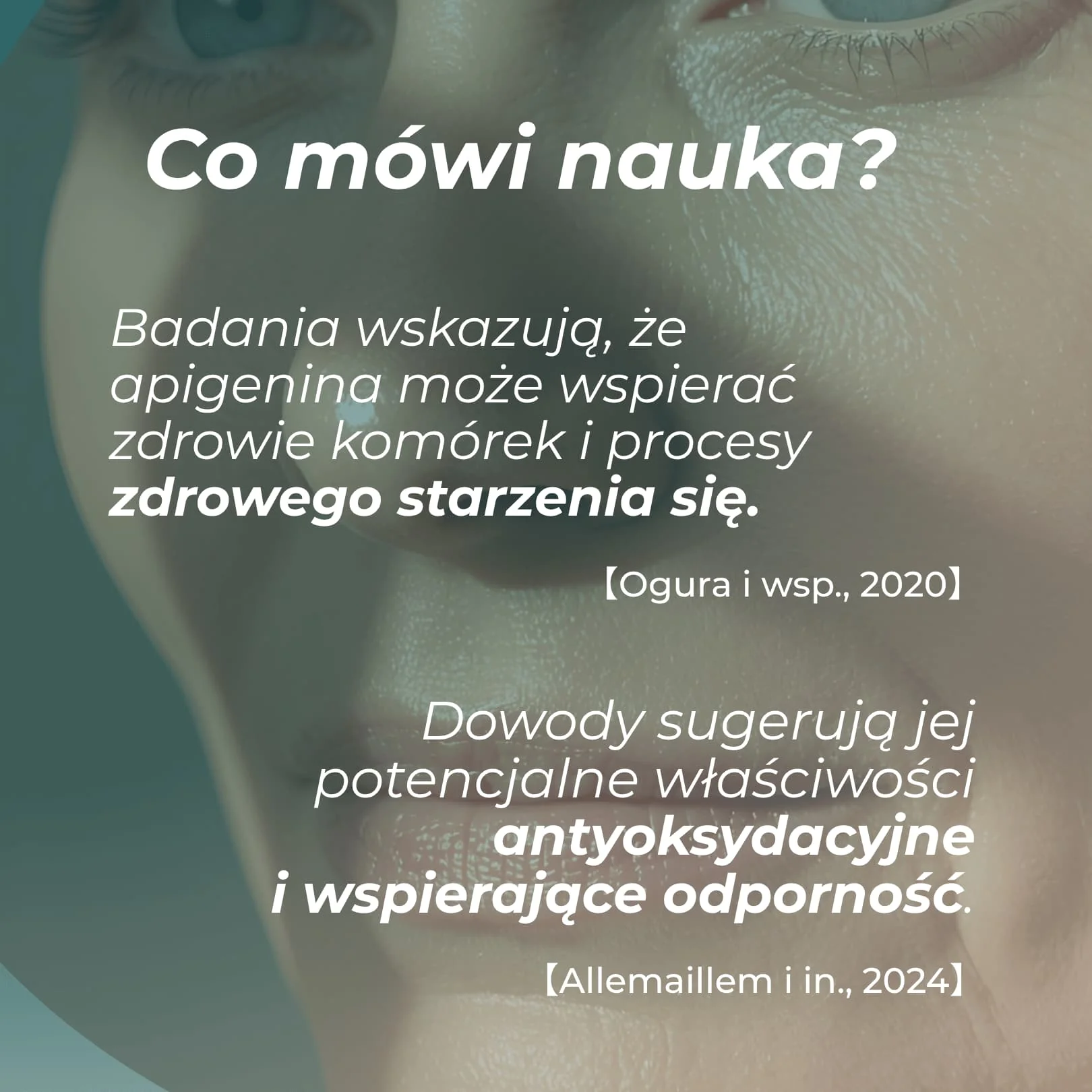 Apigenina - Image 4