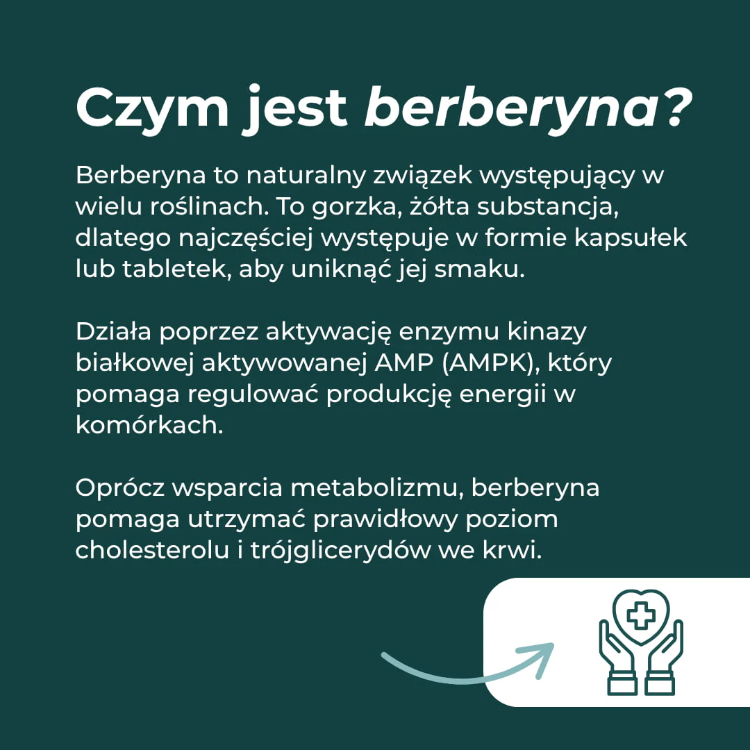 Berberyna Suplement - Image 4