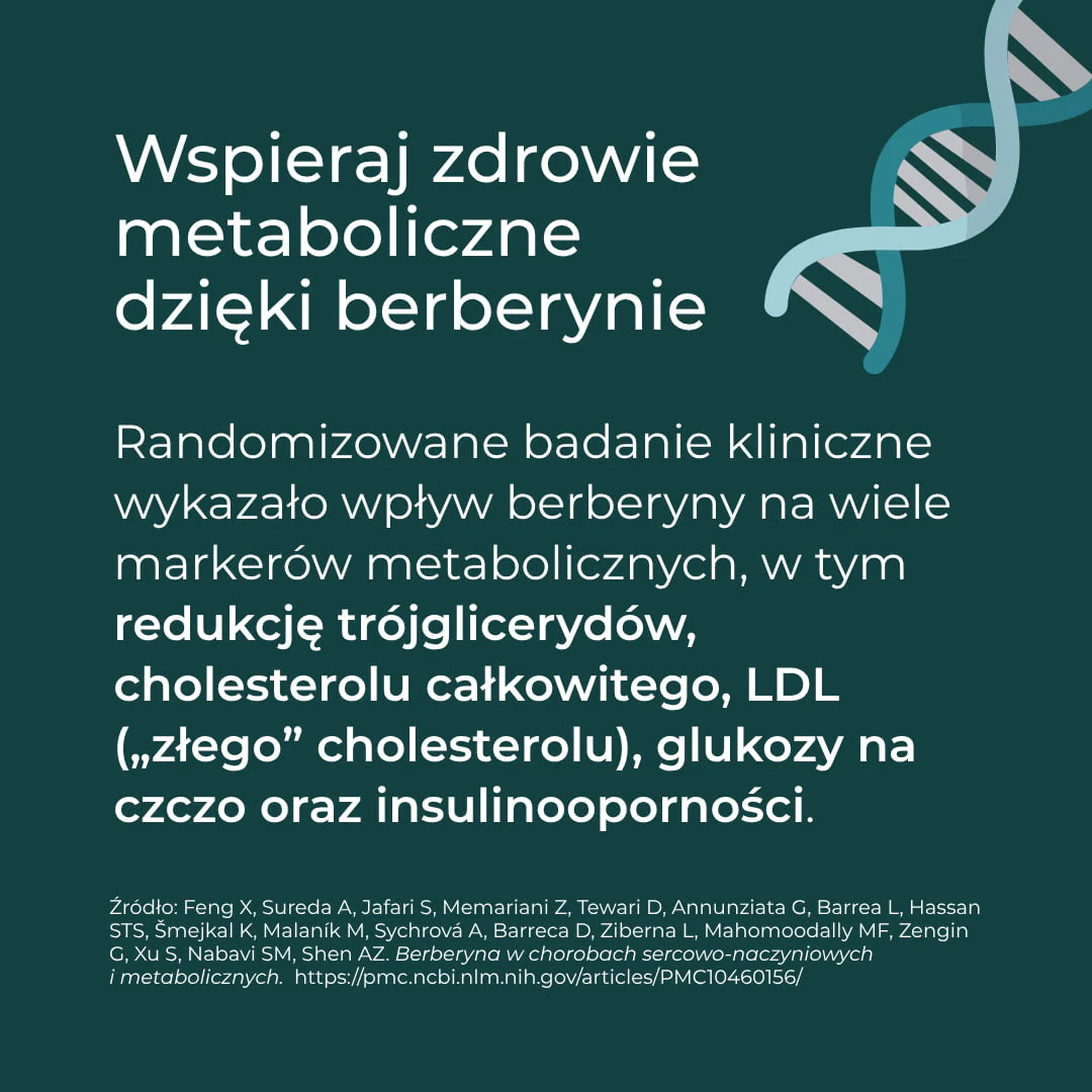 Berberyna Suplement - Image 5
