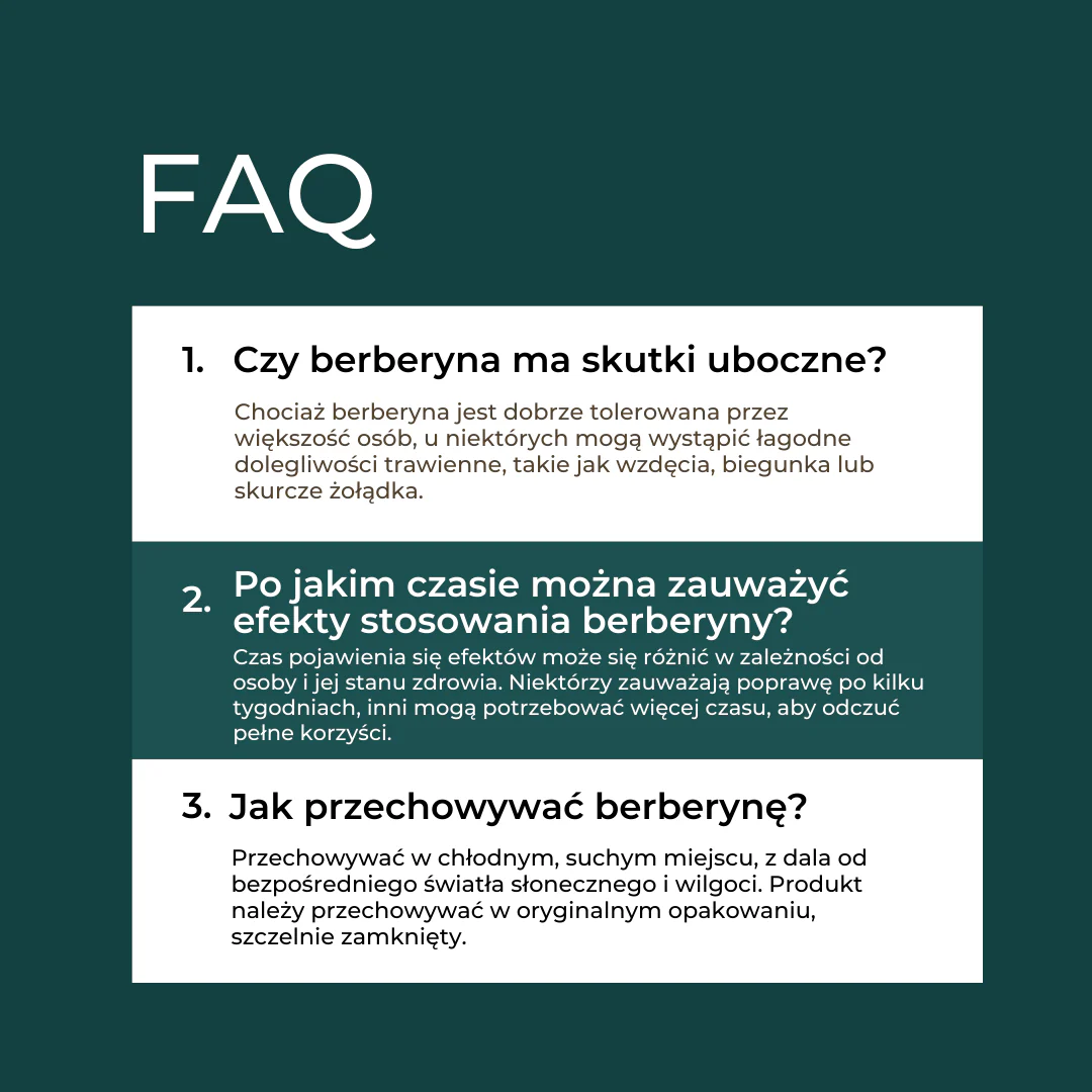 Berberyna Suplement - Image 9