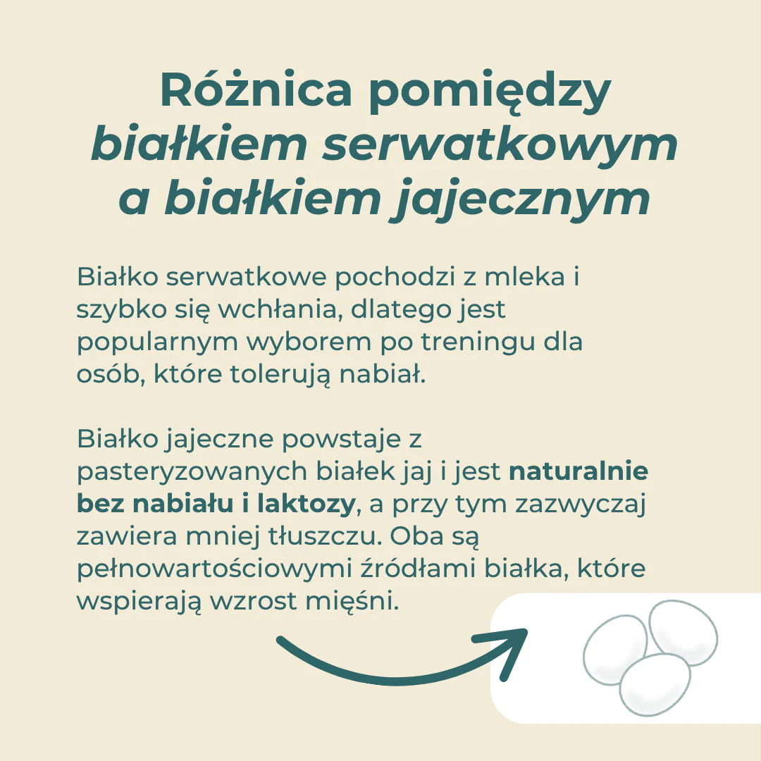 Białko jajeczne w proszku - Image 3