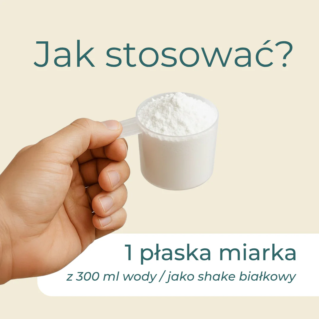 Białko jajeczne w proszku - Image 7