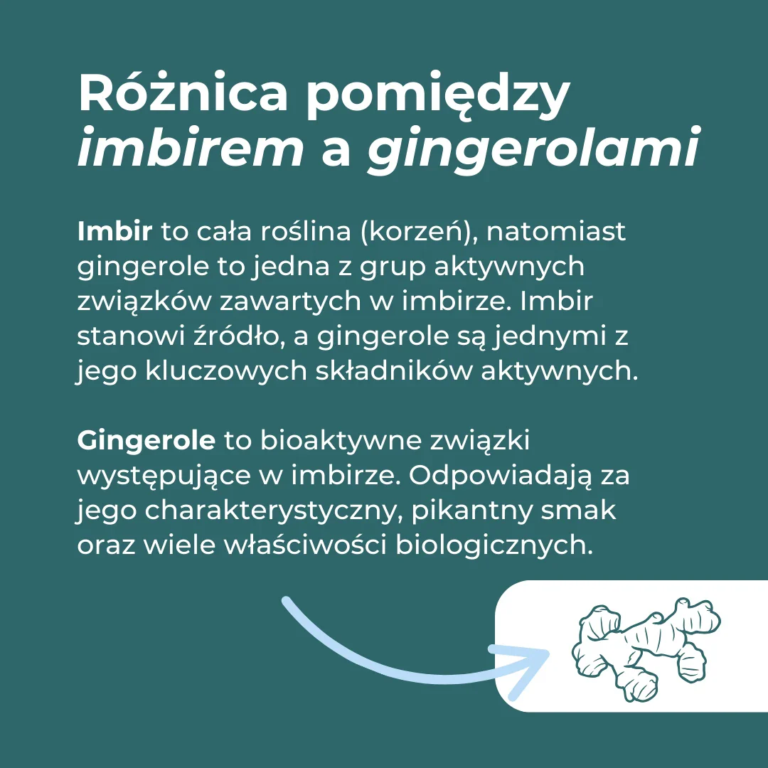 Imbir w kapsułkach - Image 6