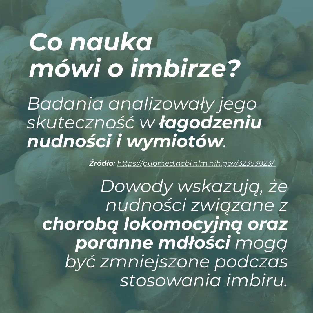 Imbir w kapsułkach - Image 7