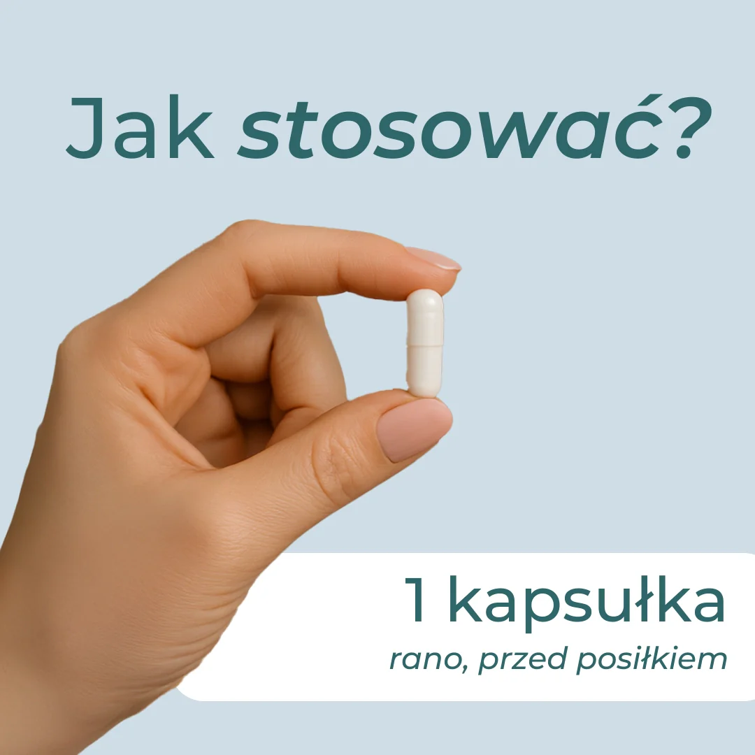 Imbir w kapsułkach - Image 8