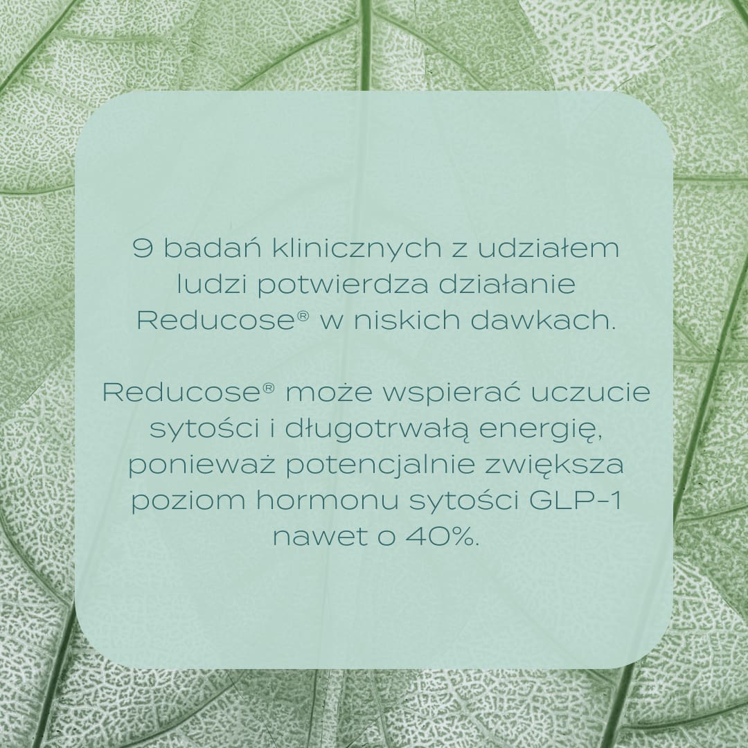 Kapsułki Wspierające Poziom Cukru - Image 6