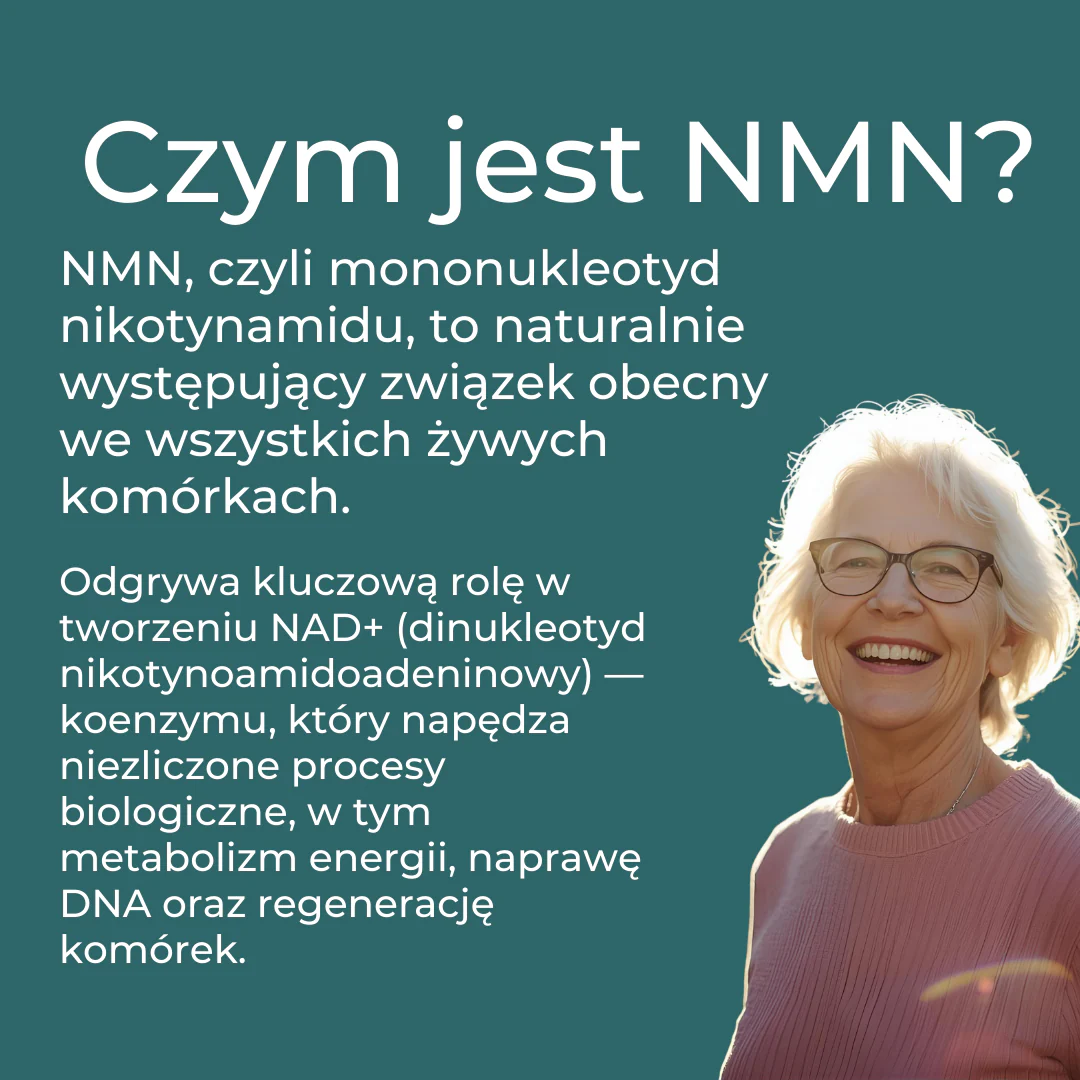 NMN Suplement - Image 5