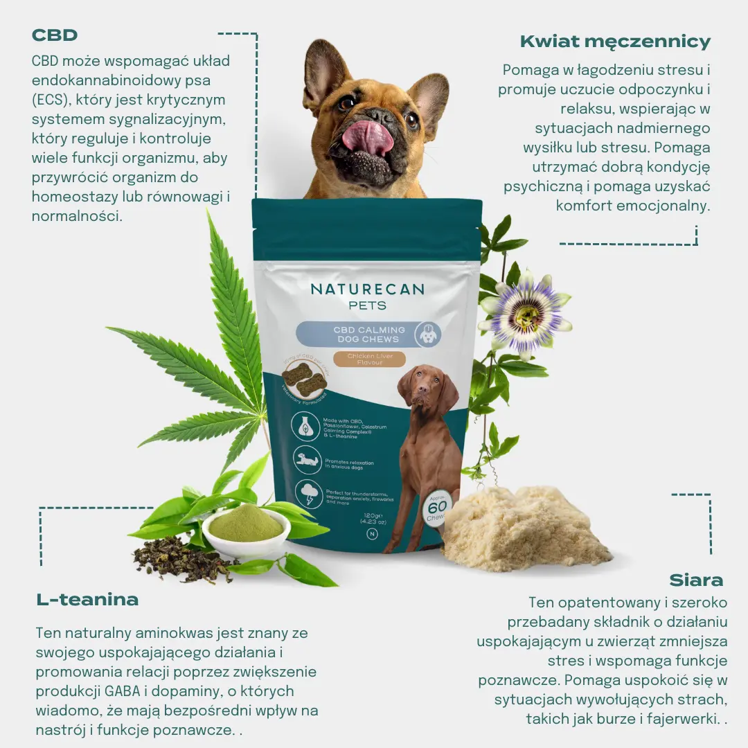 CBD przysmaki dla psa na uspokojenie - Image 3