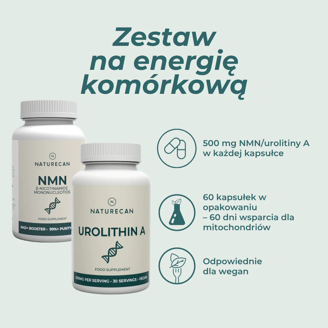 Zestaw na energię komórkową - Image 2