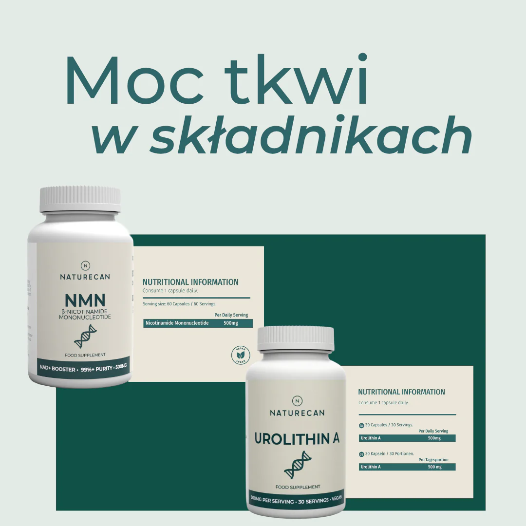 Zestaw na energię komórkową - Image 3