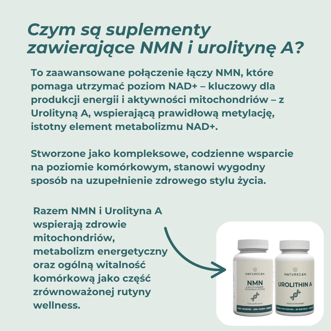 Zestaw na energię komórkową - Image 4
