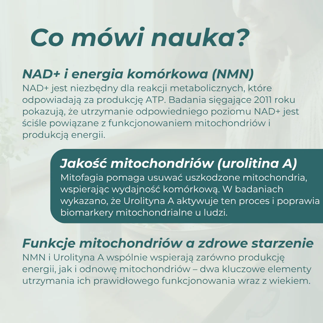Zestaw na energię komórkową - Image 5