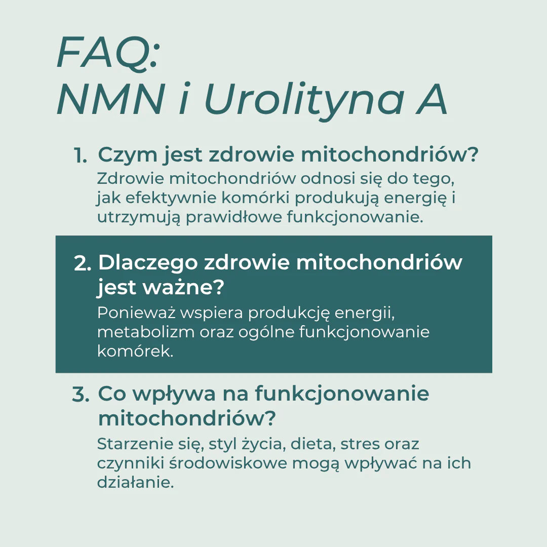 Zestaw na energię komórkową - Image 8