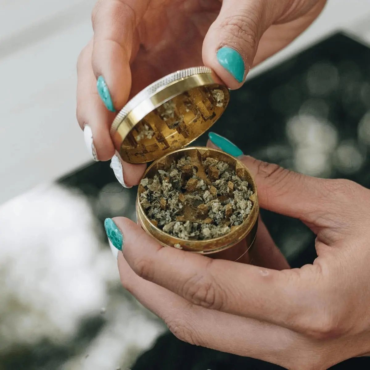 Susz CBD - Amnesia - Image 5