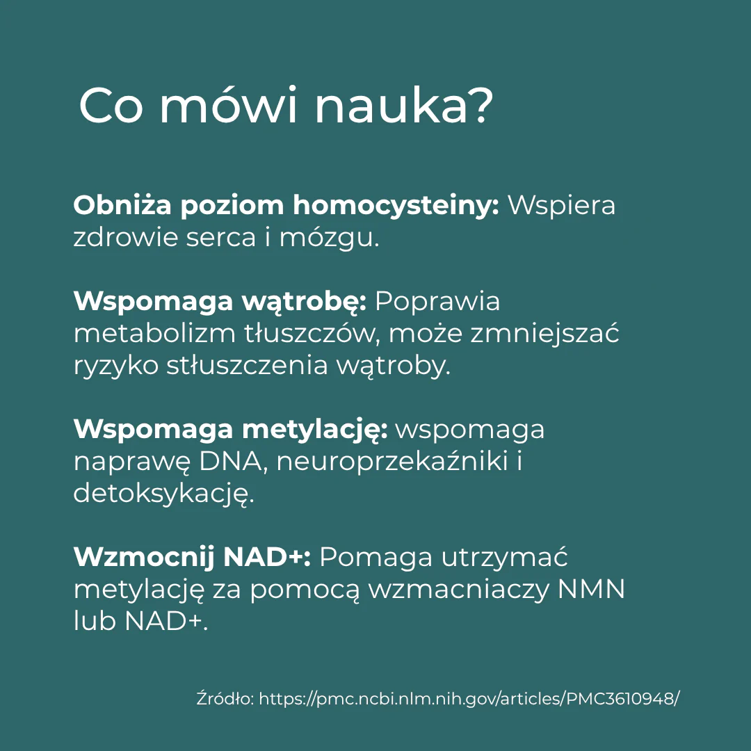 TMG Suplement - Image 4