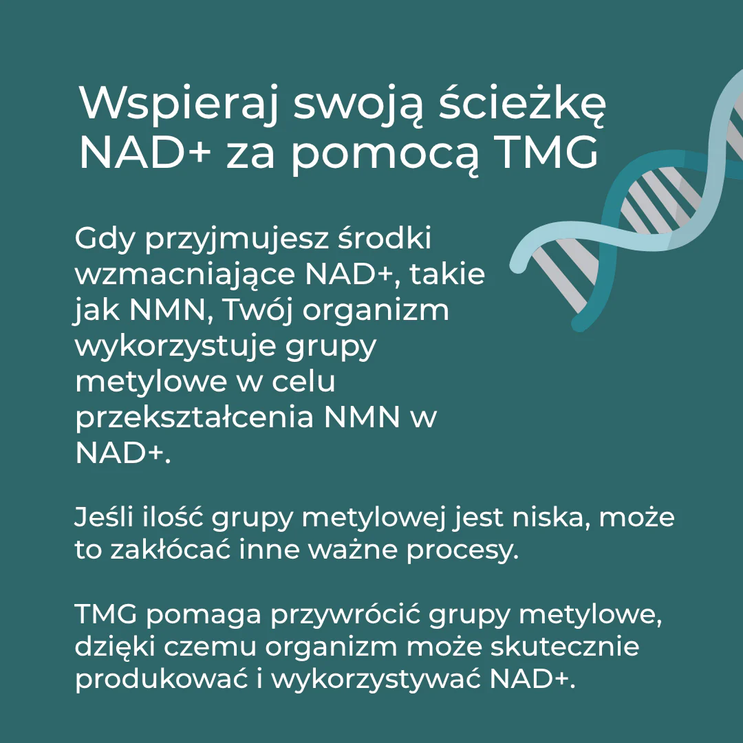 TMG Suplement - Image 5
