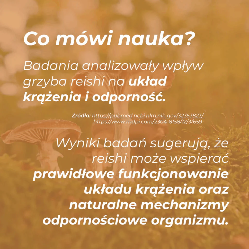 Żelki Reishi - Image 5